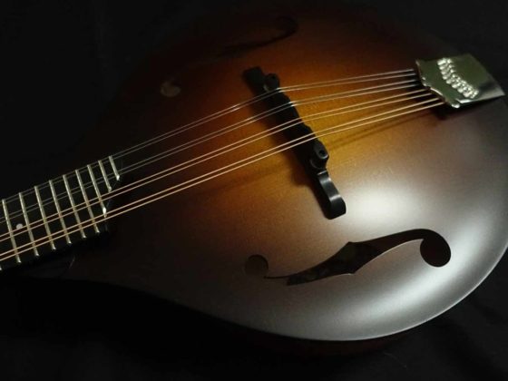 Martin Guitars History and Technical Reference Book Review
