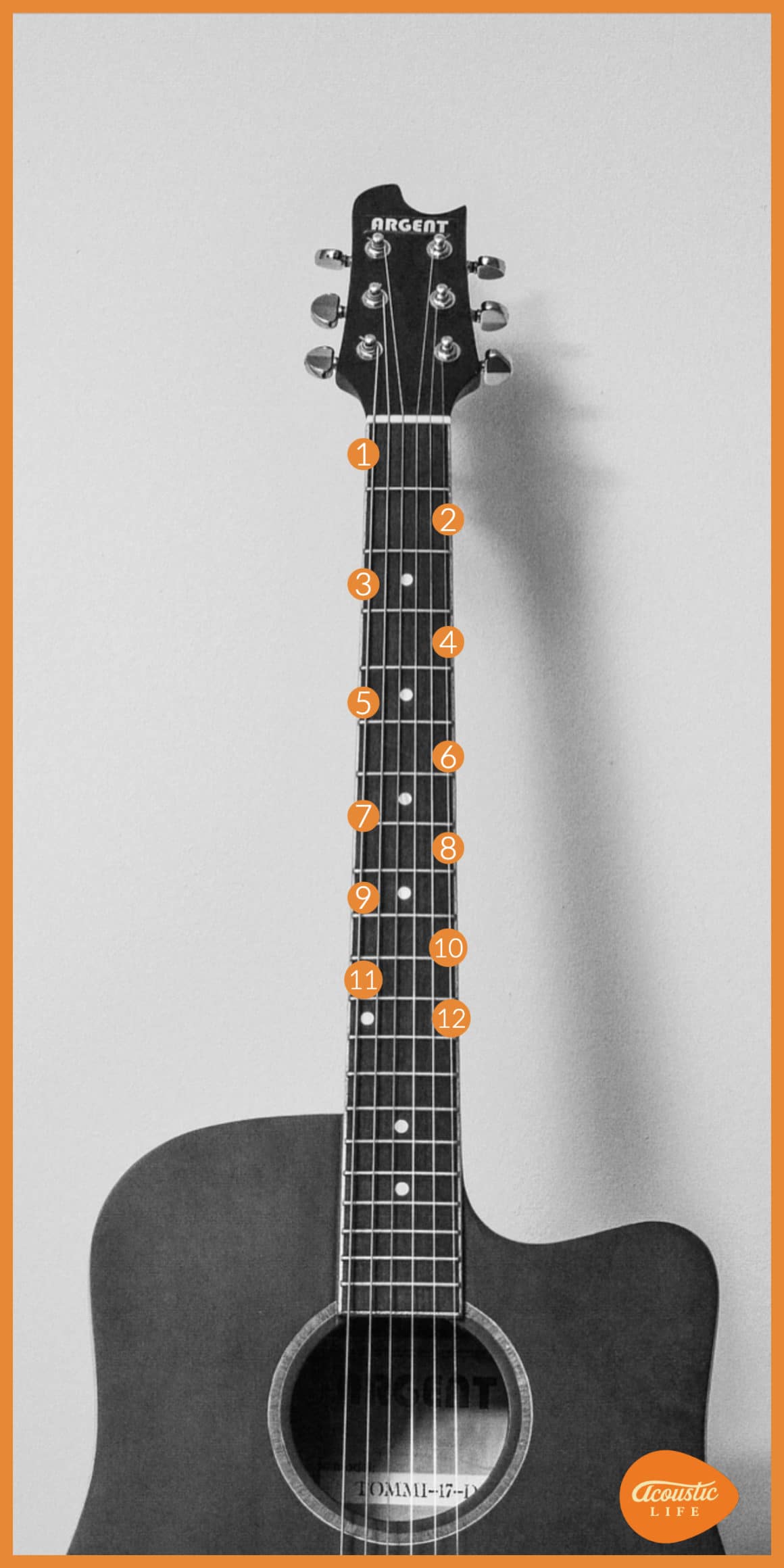 The Guitar String Names - Beginner Guitar Lessons